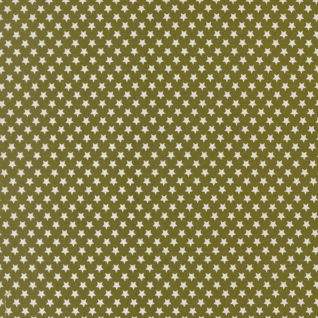 Pattern of small white stars on a green background