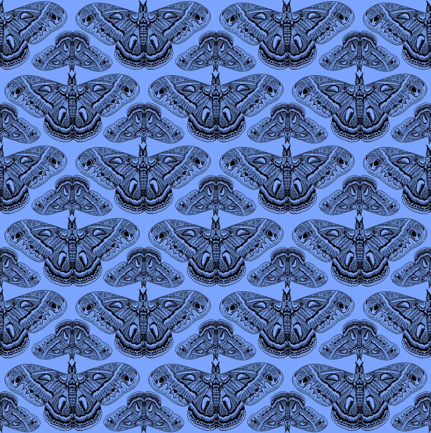 Pattern of butterflies on a blue background