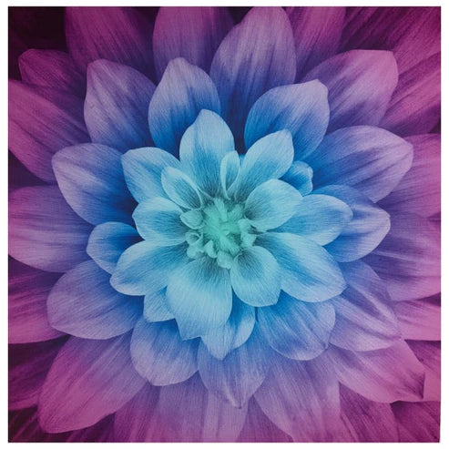 Hoffman Dream Big flower panel in aurora colorway - 43 inch square cotton quilting panel