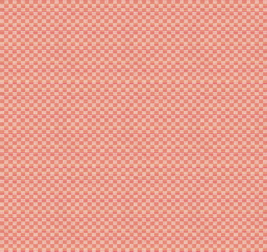 Check Mates by Anna Maria Textiles for Northcott — Fat Quarter Bundle — 18 SKUs'