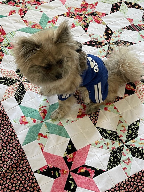 What's Your Quilting Style? Find Out Which Quilter You Are 🧵
