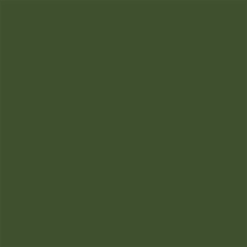 Northcott Colorworks solid fabric in avocado green - quilting cotton blender
