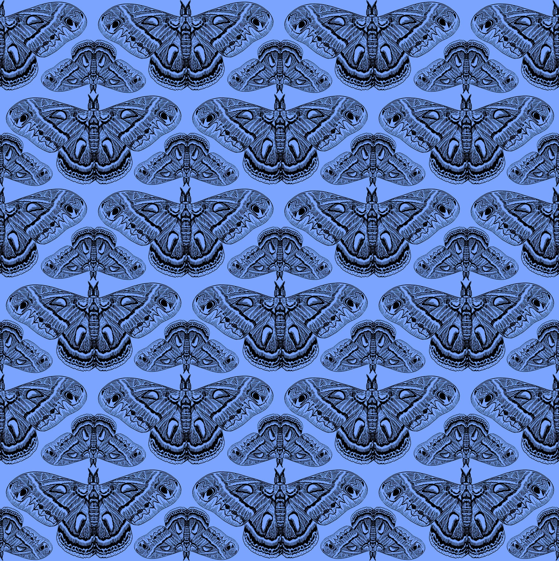 Pattern of butterflies on a blue background