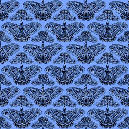 Pattern of butterflies on a blue background