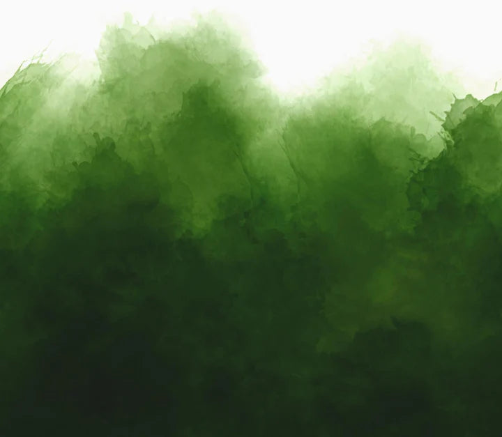 Mystic Ombre evergreen deep green ombre blender quilting fabric by Vanessa Christenson for V and Co. for Moda Fabrics
