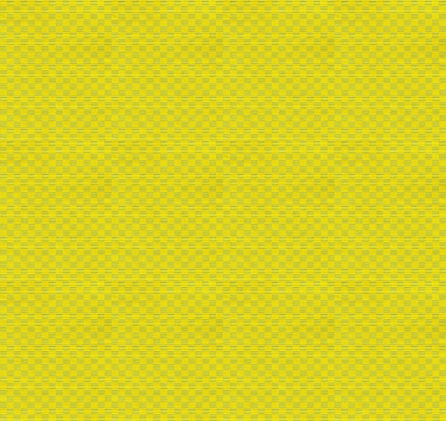Check Mates by Anna Maria Textiles for Northcott — Fat Quarter Bundle — 18 SKUs'